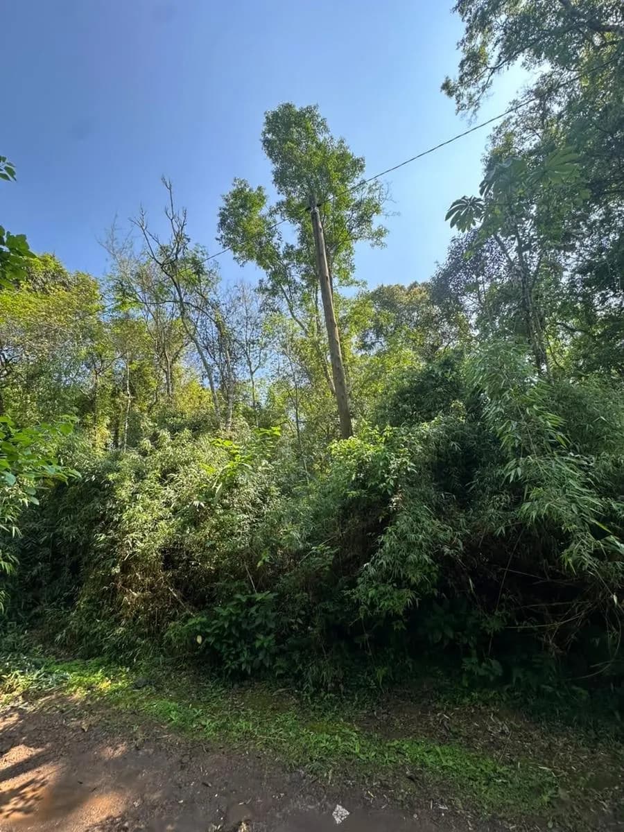 Terreno en venta
