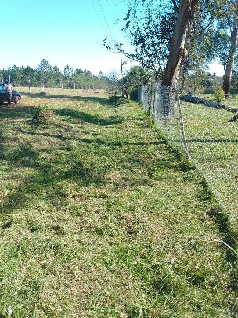 Lotes ideales para proyectos ecosustentables