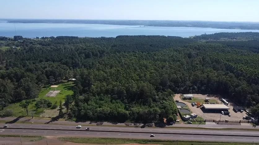 Vista aérea de amplio terreno boscoso
