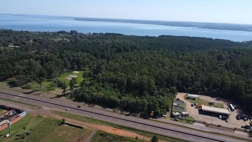 Vista aérea de amplio terreno arbolado