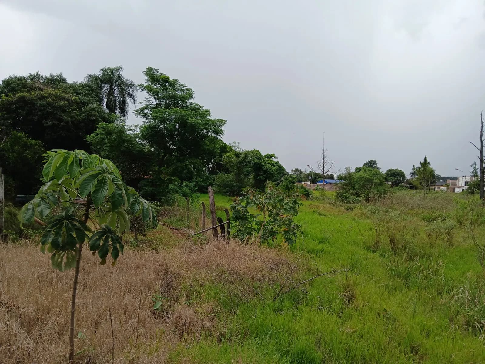 Lote sobre Ruta Nacional Nº 12 en Gobernador Roca, Misiones