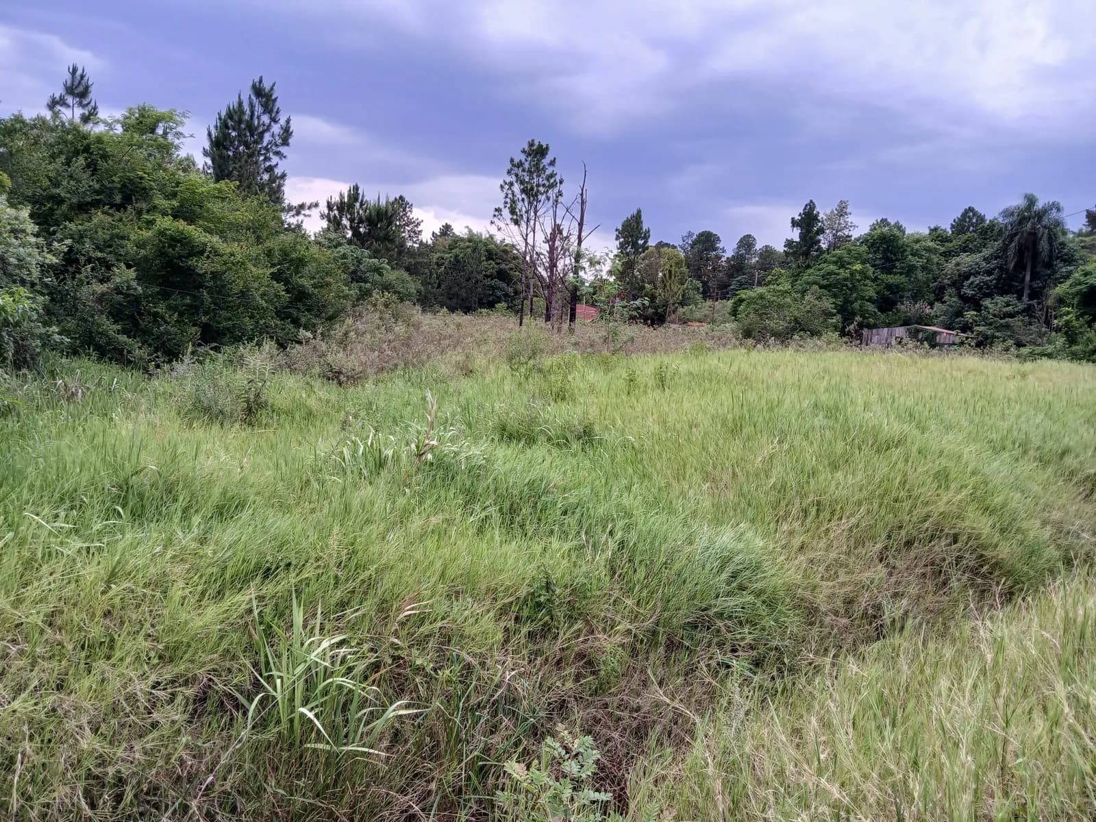 Terreno en venta