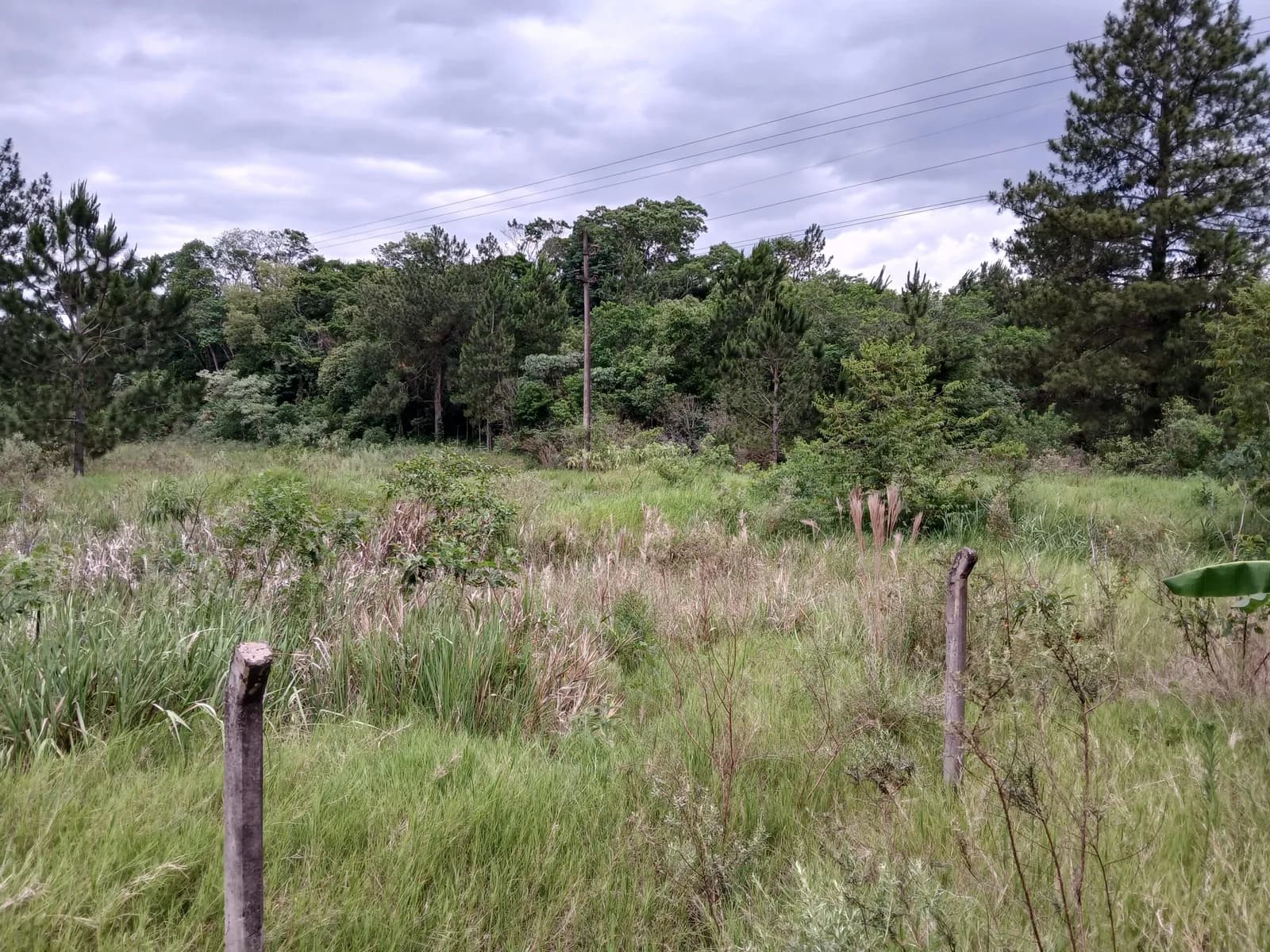 Lote sobre Ruta Nacional Nº 12. Medidas 18mx85.6m
