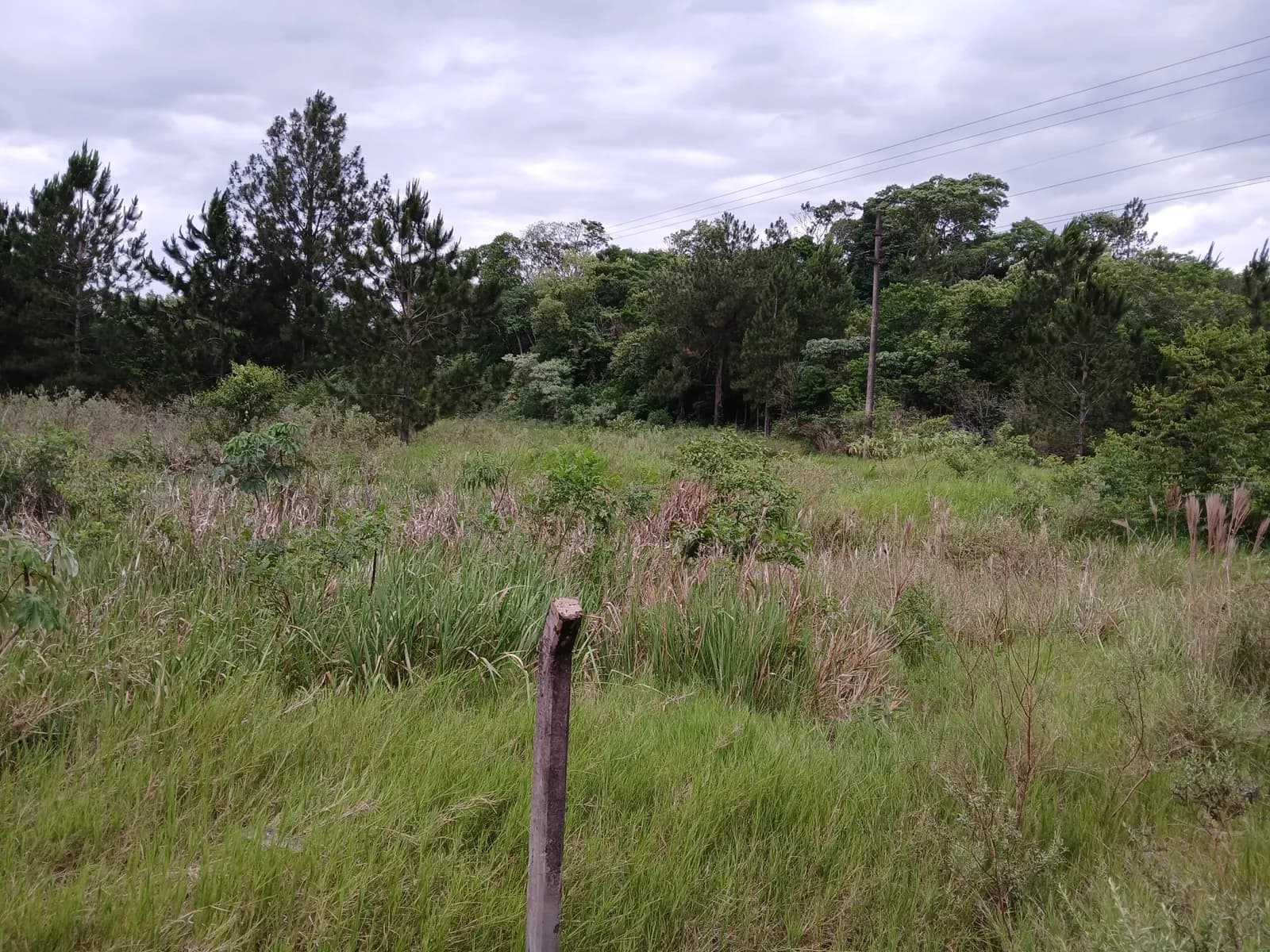 Lote sobre Ruta Nacional Nº 12. Medidas 18mx85.6m