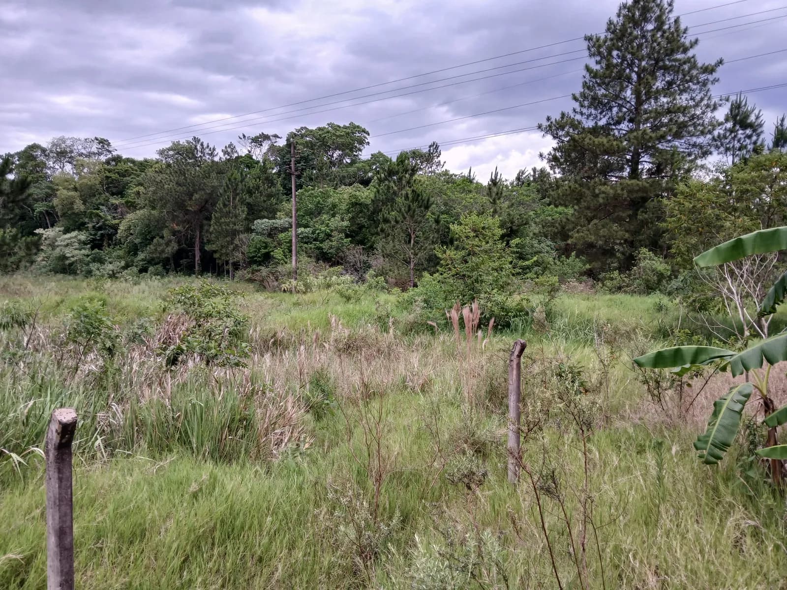 Lote sobre Ruta Nacional Nº 12. Medidas 18mx85.6m