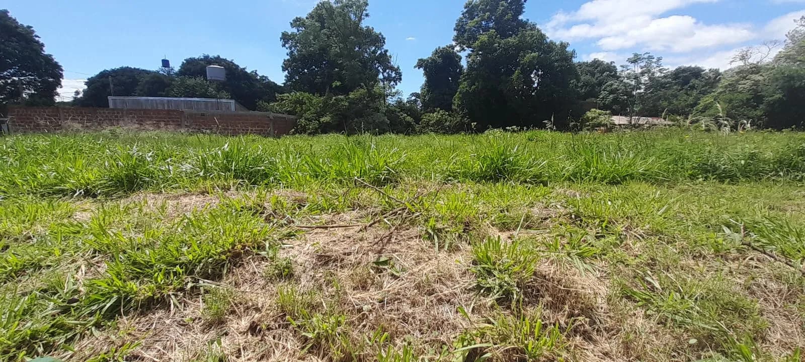 Terrenos sobre Avenida Figueredo barrio Aero Club