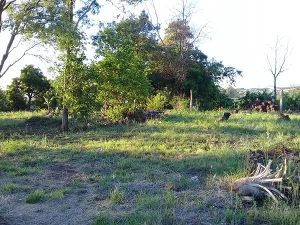 Terreno en venta