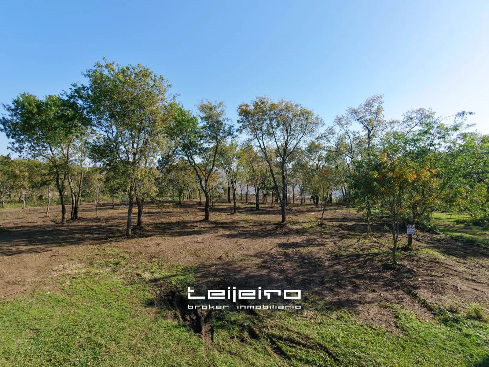 Amplio terreno con hermosa arboleda