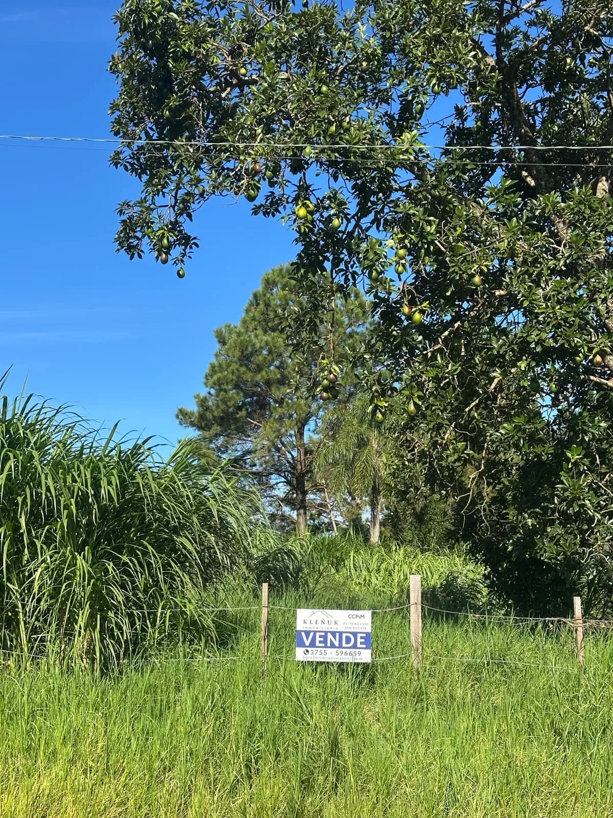 En Venta Terreno sobre la Ruta 14, San Vicente, Misiones