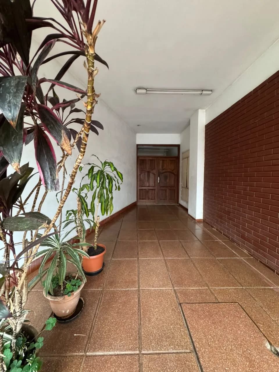 Pasillo de entrada con plantas