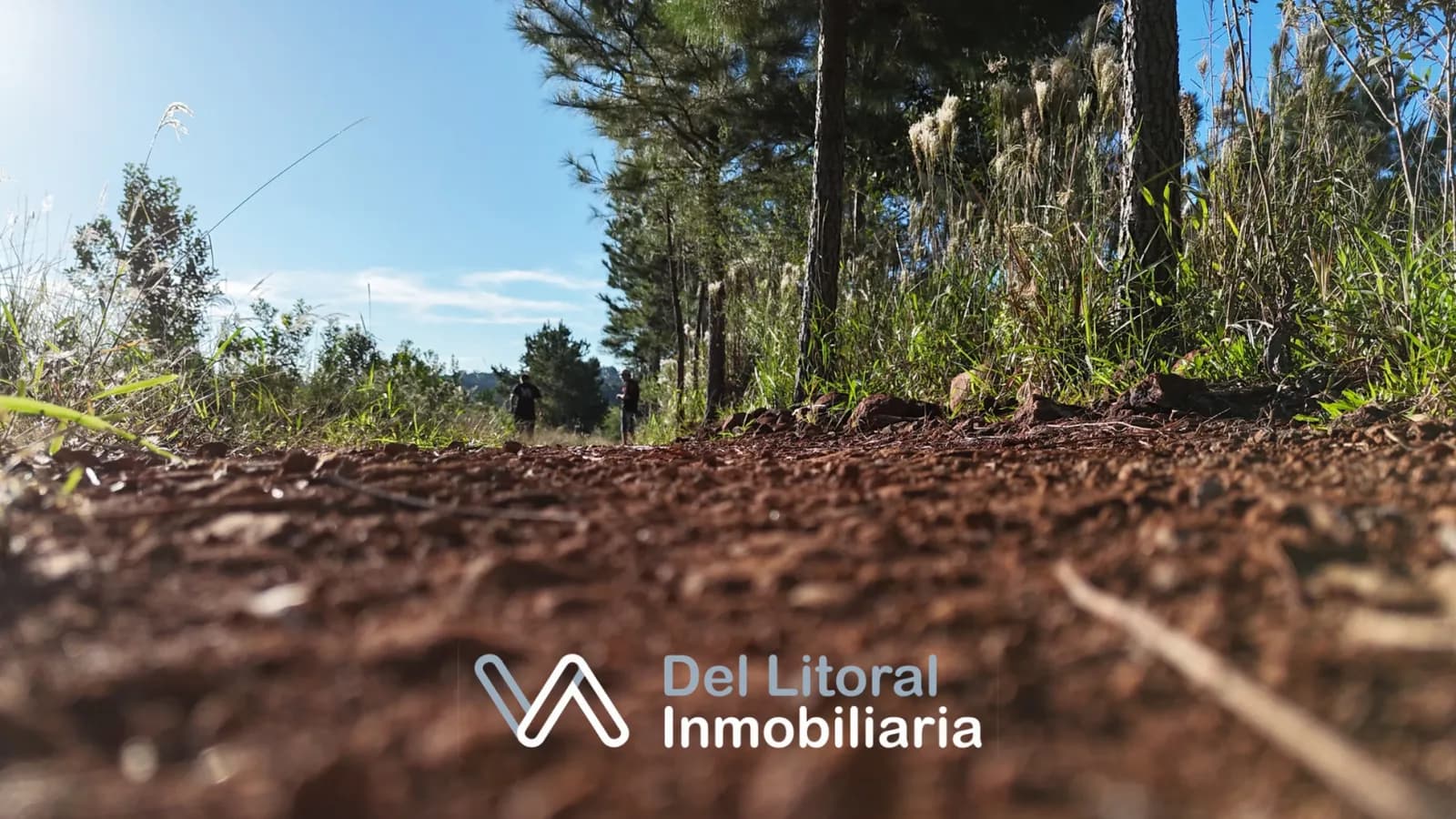 Chacra en venta en San Vicente