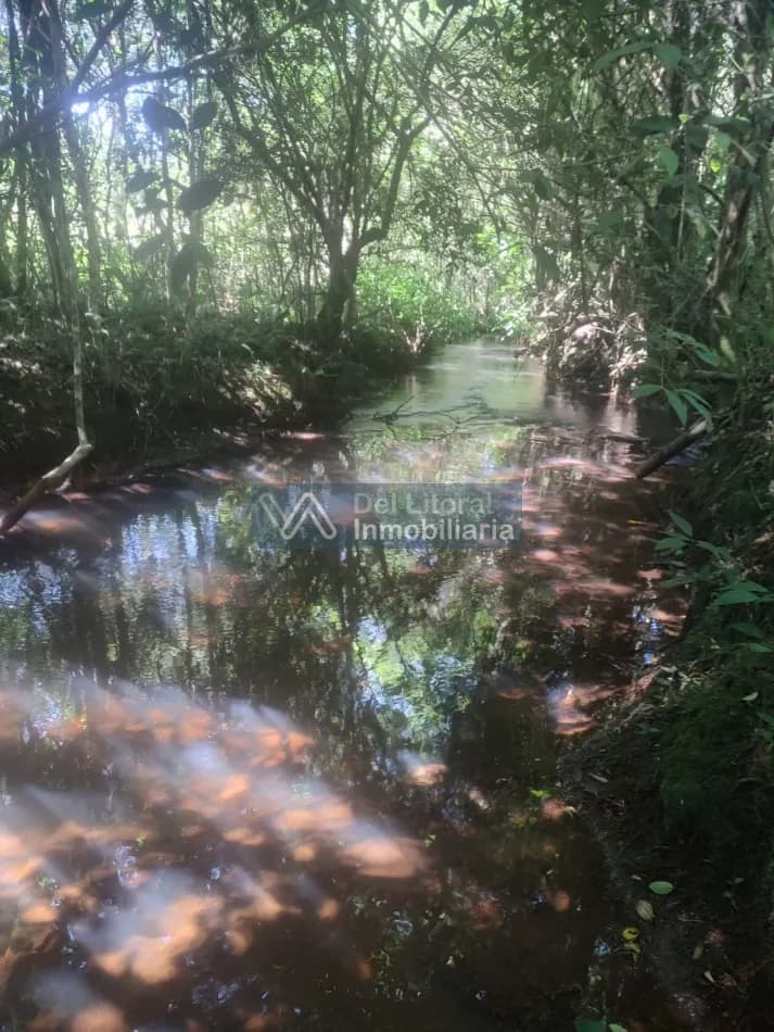 Chacra en venta en San Vicente