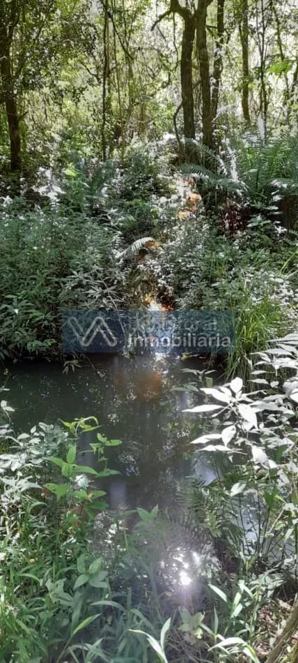 Chacra en venta en San Vicente