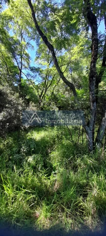 CHACRA DE 5HA CON ARROYO A SOLO 3KM DE RUTA NAC N°14-SAN VICENTE,MNS-