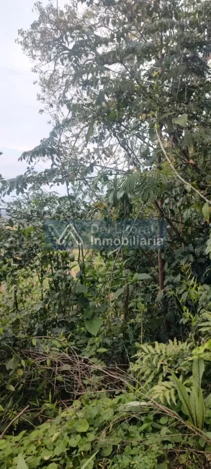 Terreno en venta en San Vicente